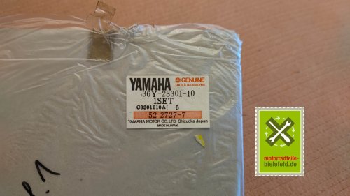 IMG_20231215_113527
